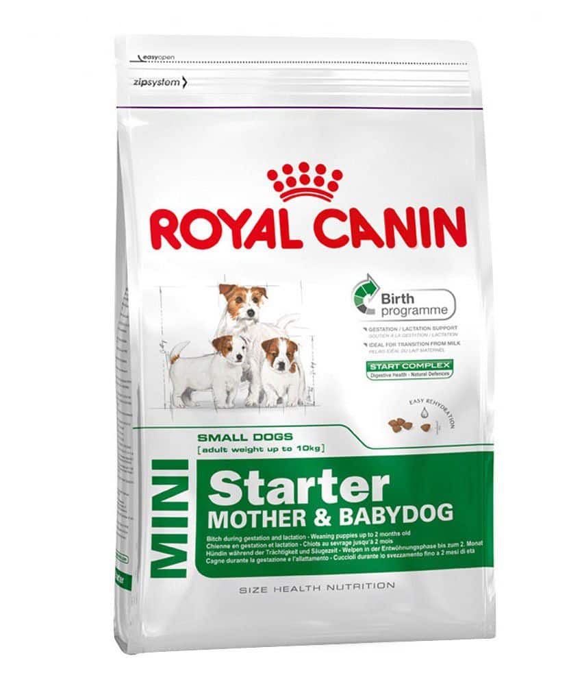 Royal Canin Dog Food Starter Mother Baby (Mini)