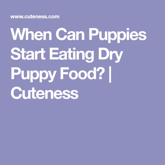 When Can Puppies Start Eating Dry Puppy Food?
